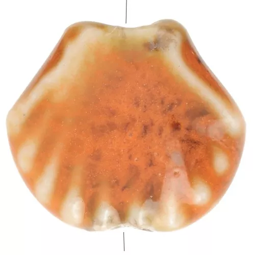 Perle di conchiglia in ceramica 14 mm - Arancione - Nero screziato x4