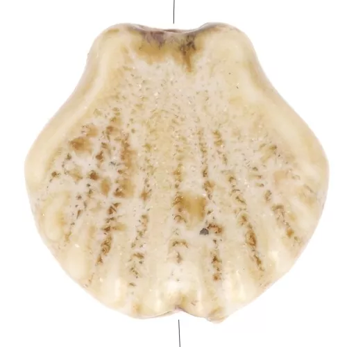 Perle di conchiglia in ceramica 14 mm - Beige - Marrone screziato x4