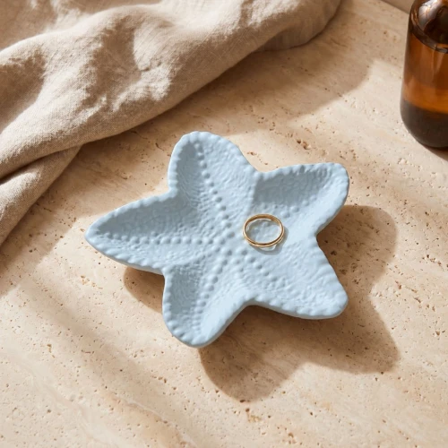 Stampo in silicone per realizzare una stella marina coppette 13,5 cm -Trasparente