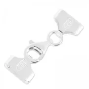 Chiusura moschettone Terminale Miyuki 10/0 5 rangs in Argent