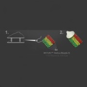 Chiusura moschettone Terminale 9 mm per Miyuki 11/0 6 rangs in Argent