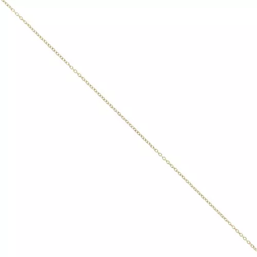 Catena Forzatina con maglia da 1 mm - Acciaio inossidabile 316L Dorato x50cm