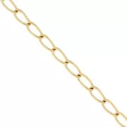 Catena maglia cavallo 3,3 mm - Acciaio inossidabile 316L Dorato x50cm