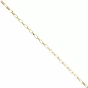 Catena rettangolare con maglia da 2,7 mm - Acciaio inossidabile 304 Dorato x50cm