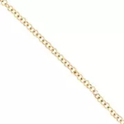 Catena forzatina a maglia tonda da 4,9 mm - Acciaio inossidabile 316L Dorato x50cm