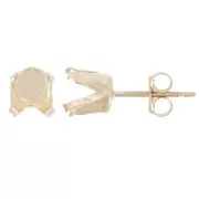 Accessori in Goldfilled