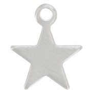 Ciondolo a forma di stella 10,5x8,5 mm - Acciaio inossidabile 304 x1