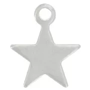 Ciondolo a forma di stella 10,5x8,5 mm - Acciaio inossidabile 304 x1