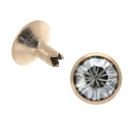 Boutons
