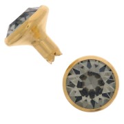 Rivetto Swarovski 53005 8 mm Black Diamond / Dorato x1|raw }}