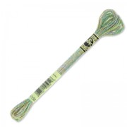 Filo da ricamo DMC Moulinè Effet Lumière Joyaux Verde (135) x8m|raw }}