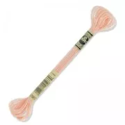 Filo da ricamo DMC Moulinè Effet Lumière Light Peach (967) x8m