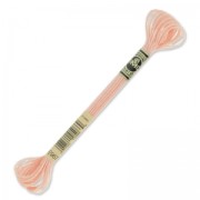 Filo da ricamo DMC Mouliné Effet Lumière Light Peach (E967) x 8 m