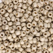 Rocaille Miyuki Duracoat 8/0 4201F - Argento galvanizzato Mat x8g|raw }}