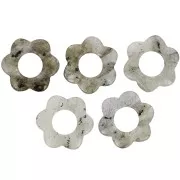 Pendente a forma di fiore in pietra semipreziosa da 20 mm - Labradorite x1