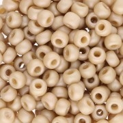 Rocaille Miyuki 6/0 4691 - Opaco smaltato ala di falena Mat AB x8g|raw }}