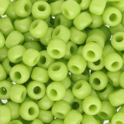 Miyuki Rockfish 6/0 416 - Certosa opaca x8g