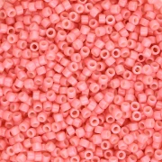 Miyuki Delica Duracoat 11/0 DB2115 - Guava opaco x 100 g