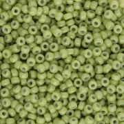 Rocaille Miyuki Duracoat 11/0 4473 - Finocchio opaco tinto x8g