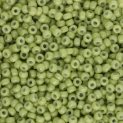 Rocaille Miyuki Duracoat 11/0 4473 - Finocchio opaco tinto x8g