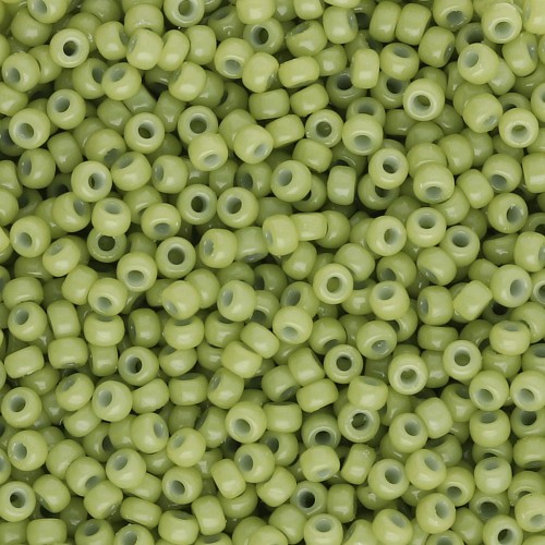 Rocaille Miyuki Duracoat 11/0 4473 - Finocchio opaco tinto x8g