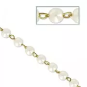 Catena con perle 4 mm White Pearl/ottone x 50cm