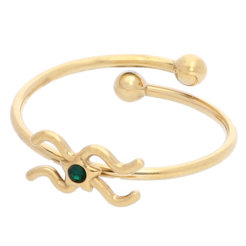 Anello regolabile Segno zodiacale - Acquario - Acciaio inossidabile Dorato 304L - Smeraldo x1