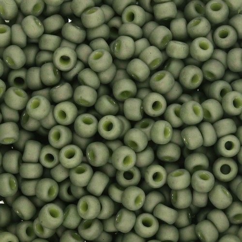 Rocaille Miyuki 8/0 2318 - Oliva opaca Mat x8g