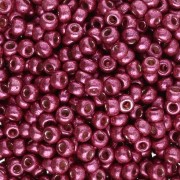 Rocaille Miyuki Duracoat 8/0 4219 - Magenta galvanizzato x8g|raw }}