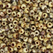 Rockery Miyuki 8/0 4512 - Giallo opaco Picasso x8g