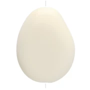 Perlina piatta irregolare 22x17 mm in resina opaca - Ecrù x1