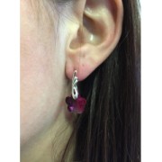 Orecchini con fermaciondolo mm.17 Argento 925 x2