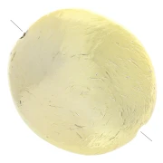 Perla ovale 32x29 mm con effetto Striato in acrilico metallizzato CCB - Dorato x1