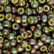 Rocaille Miyuki 6/0 1897 - Op Golden Olive Luster x8g|raw }}