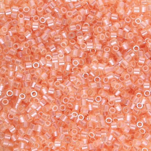 Miyuki Delica 15/0 DBS1480 - Pesca trasparente lucida x5g