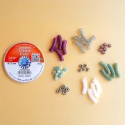 Mes bijoux fai da te - Kit di 4 braccialetti elastici con perline tubolari Versione argento