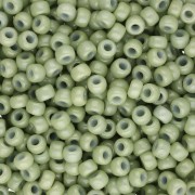 Rocaille Miyuki Duracoat 8/0 4473 - Finocchio opaco tinto x8g|raw }}