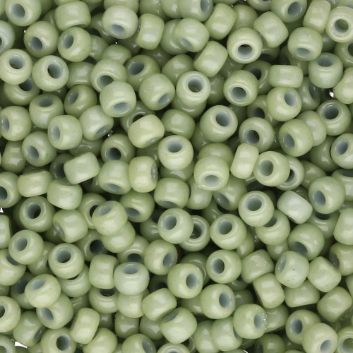 Rocaille Miyuki Duracoat 8/0 4473 - Finocchio opaco tinto x8g