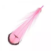 Piuma di faggiano con striscia 6-11 cm Hot Pink x1