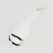 Piuma di faggiano con striscia 6-11 cm Bianco x1