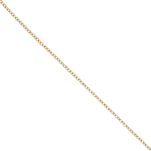 Catena a maglia Forçat 2 mm - Acciaio inox 316L Gold x50cm