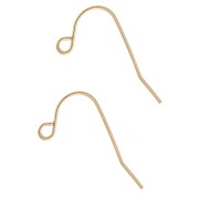 Orecchini a gancio da 13,5 mm - Acciaio inossidabile 316L Dorato x2