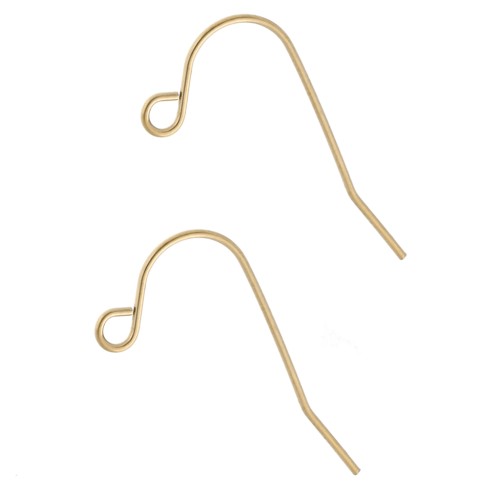 Orecchini a gancio da 13,5 mm - Acciaio inossidabile 316L Dorato x2
