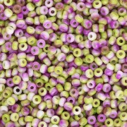Rocaille Miyuki 11/0 55055 - Bianco opaco Funky Orchid x8g|raw }}