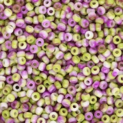 Rocaille Miyuki 11/0 55055 - Bianco opaco Funky Orchid x8g