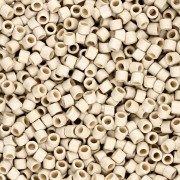 Miyuki Delica Duracoat 10/0 DBM1831F - Argento galvanizzato Mat x8g