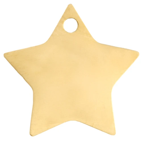 Ciondolo a stella 12x13 mm - Acciaio inossidabile 304 Gold x1