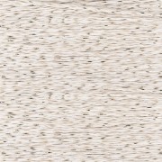 Filo da ricamo Au Chinois Tonkin - Ecru - Dorato (1002) x 10 m