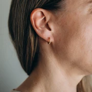 Orecchini a cerchio sottili da 14 mm con ossidi di zirconio - Dorati con oro fino x2