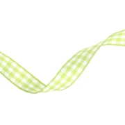 Nastro in poliestere da 10 mm - Verde chiaro - Bianco x1m